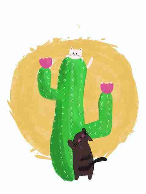 让人欲罢不能的未删减佳作推荐：《情欲九歌》完整版在线观看指南+画面超唯美