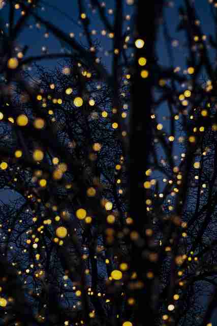 VIP尊享4K【夜色撩人】金智秀×陈乔恩浪漫禁忌高帧率HDR沉浸版在线观看