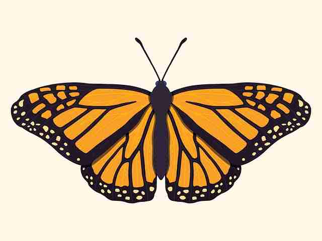 硬核超清1080P【倾城界线】李敏镐×徐冬冬超清无广告免费视频