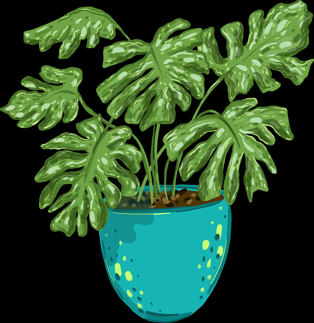 好色先生独家栏目首发｜生活化情趣再现打破内容边界