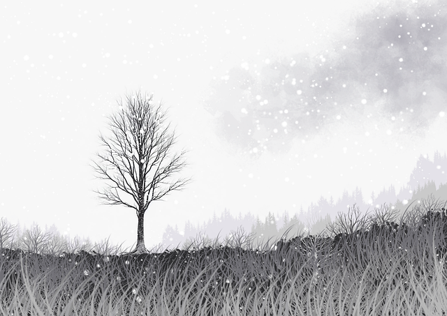 探花精选栏目更新提醒发布｜多维剪辑风格对比频道热度高涨